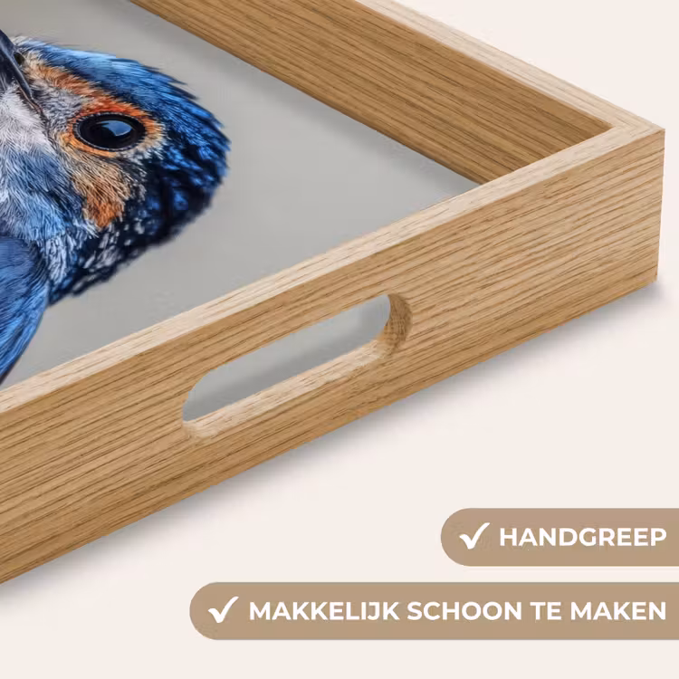 Dienblad - Kleurrijk - Vogeltje - Veren - Blauw — 5