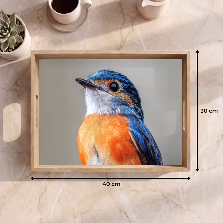 Dienblad - Kleurrijk - Vogeltje - Veren - Blauw — 9