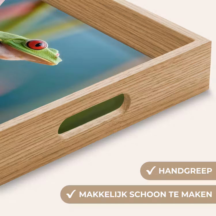 Dienblad - Kleurrijke kikker - Groene stengel - Alert — 5