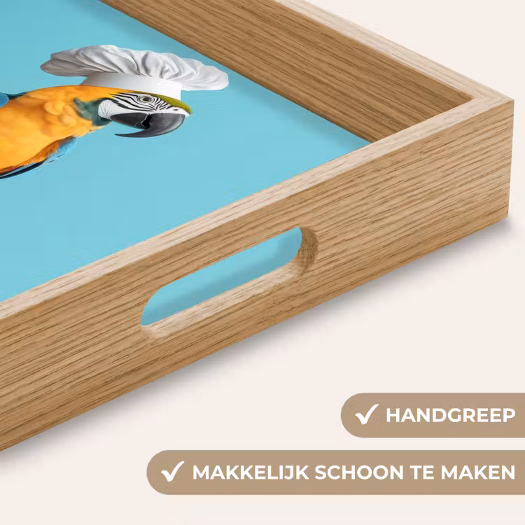 Dienblad - Papegaai - Koksmuts - Grappig - Vogel — 5