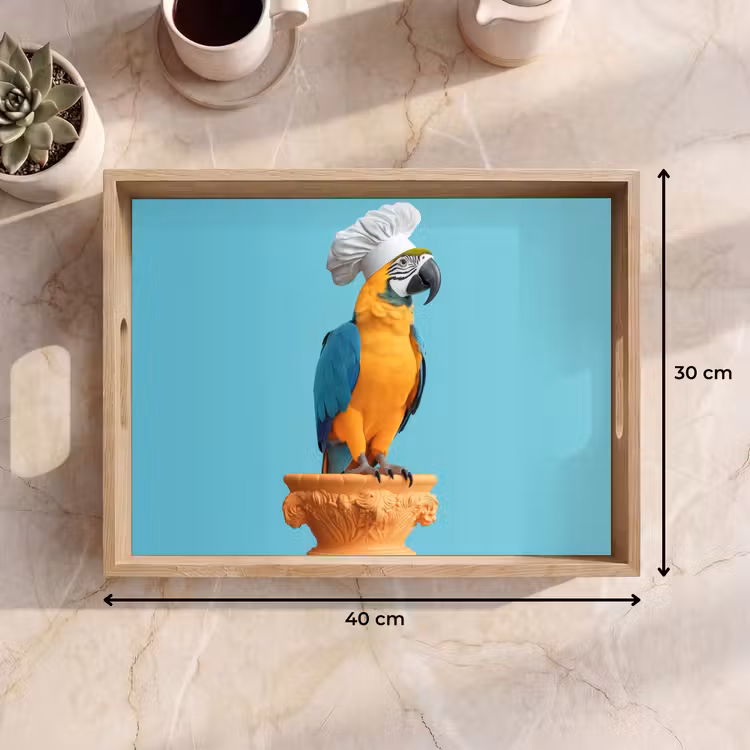 Dienblad - Papegaai - Koksmuts - Grappig - Vogel — 9