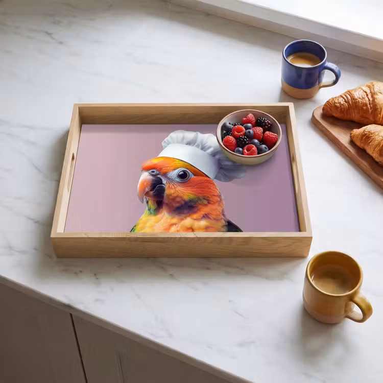 Dienblad - Papegaai - Koksmuts - Nieuwsgierig - Vogel — 4