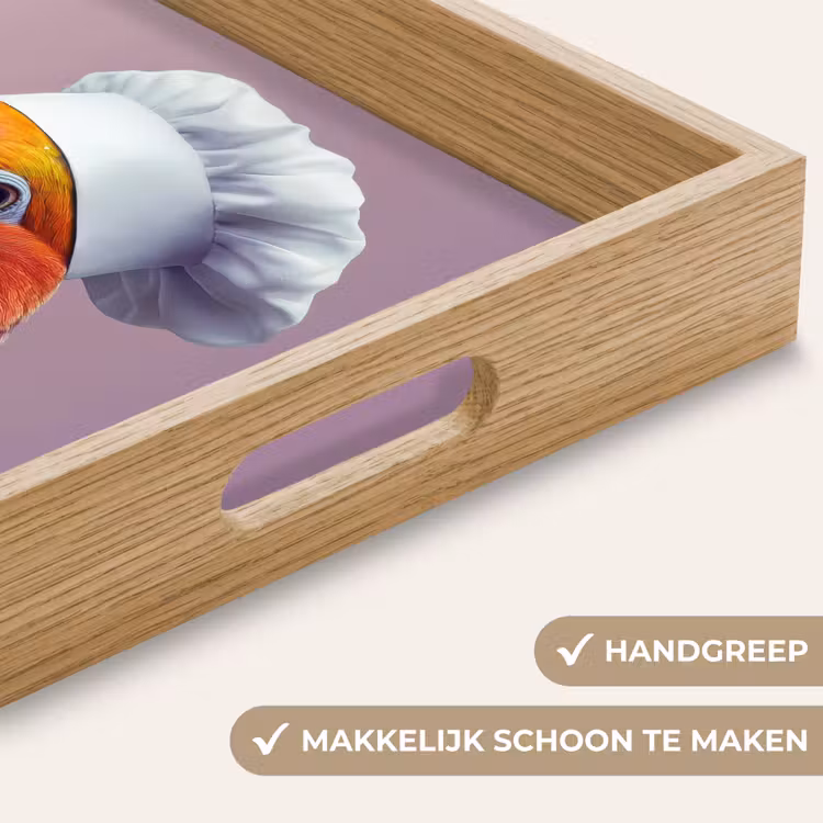 Dienblad - Papegaai - Koksmuts - Nieuwsgierig - Vogel — 5
