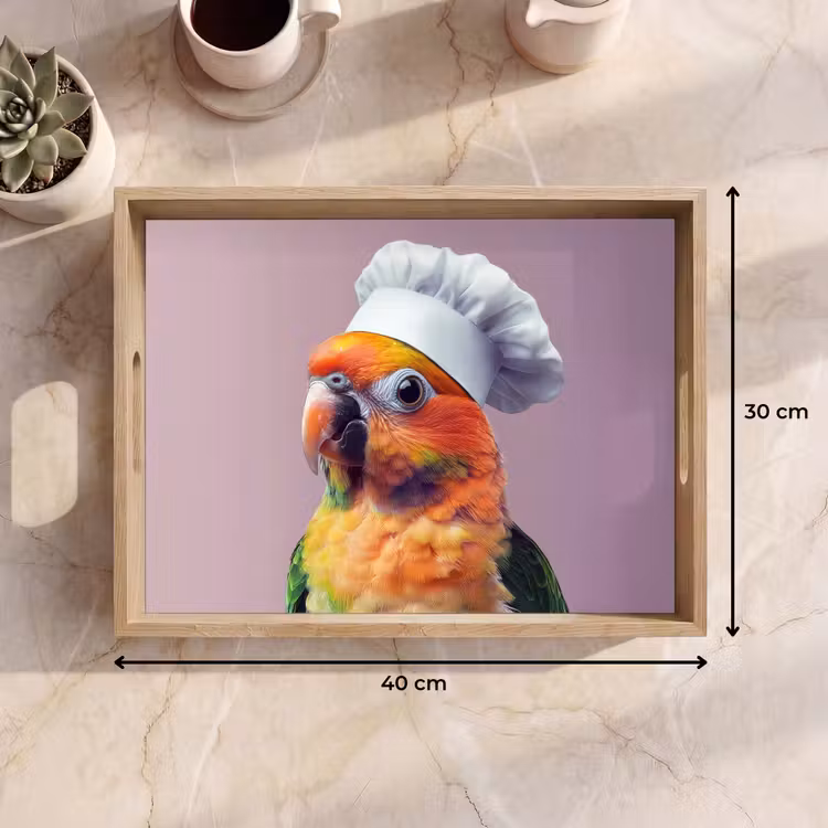 Dienblad - Papegaai - Koksmuts - Nieuwsgierig - Vogel — 9