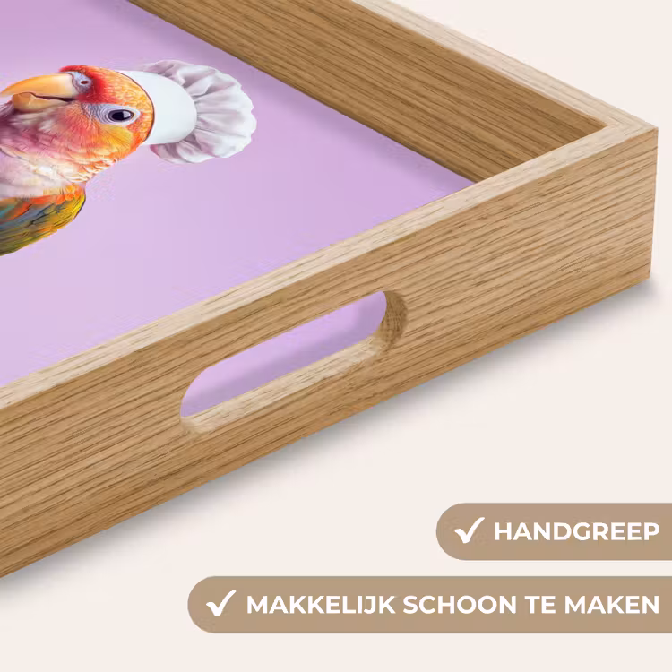 Dienblad - Papegaai - Koksmuts - Pilaar - Vogel — 5