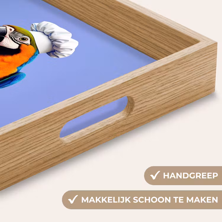 Dienblad - Papegaai - Koksmuts - Vogel - Leuk — 5