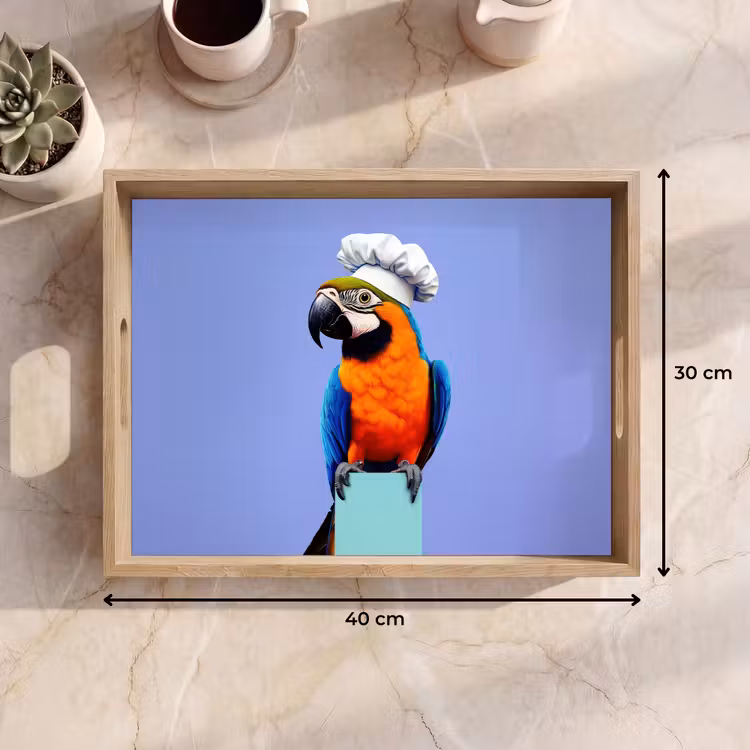 Dienblad - Papegaai - Koksmuts - Vogel - Leuk — 9