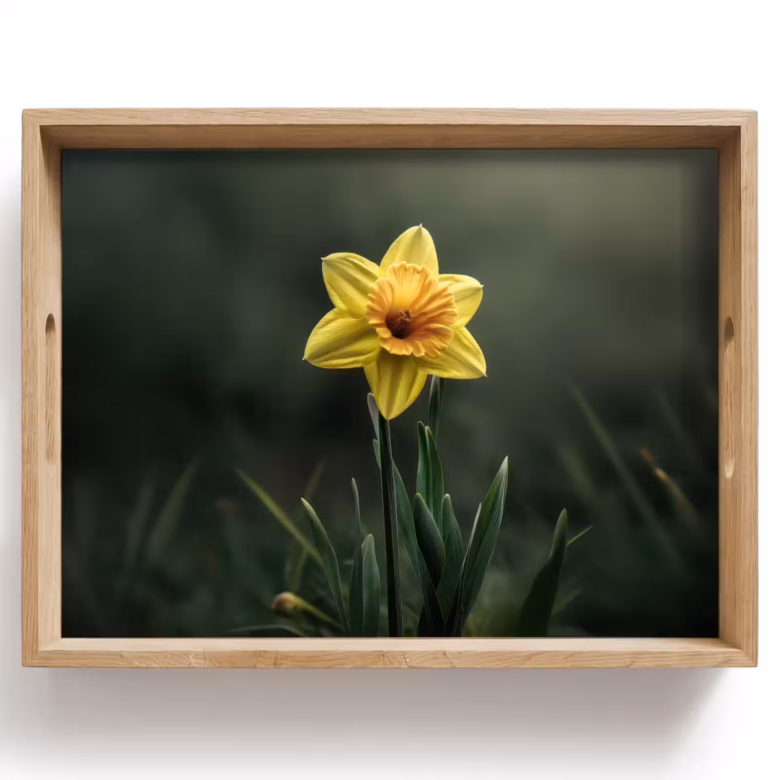 Dienblad - Bloem - Narcis - Gras - Geel — 1