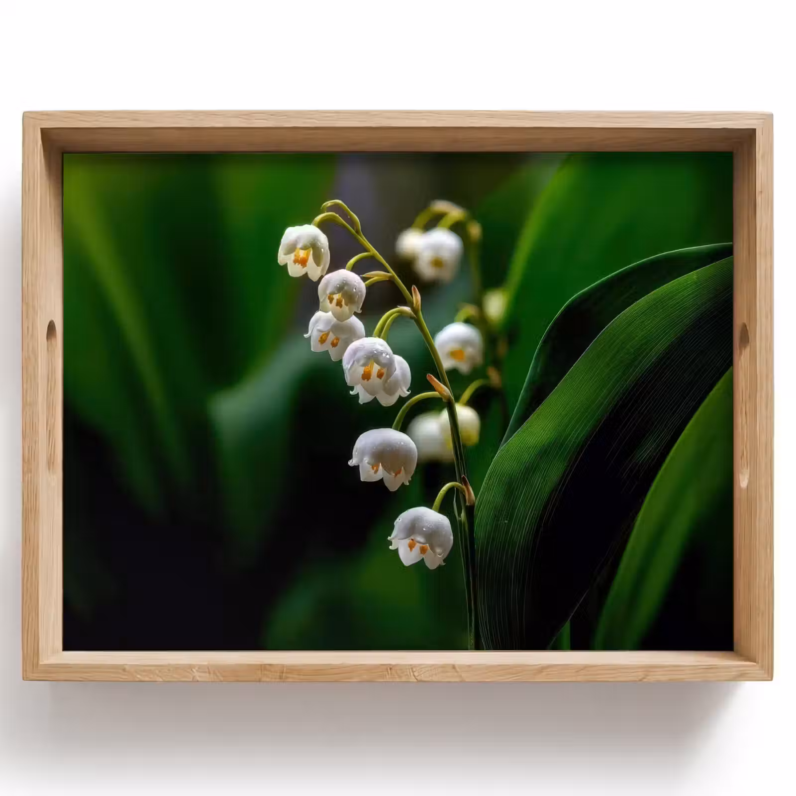Dienblad - Bloemen - Wit - Bladeren - Lelietjes — 1
