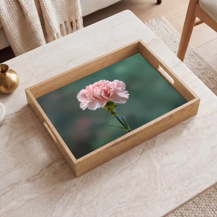 Dienblad - Anjer - Roze - Bloemblaadjes — 2