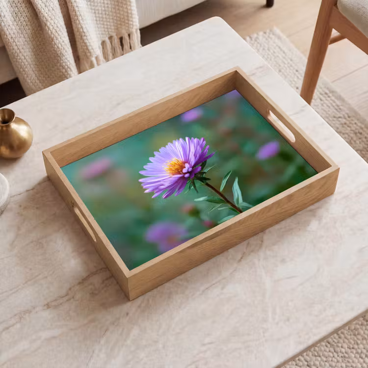 Dienblad - Aster - Paars - Bloem - Blaadjes — 2