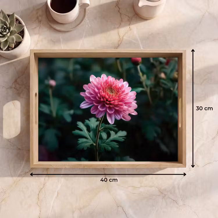 Dienblad - Blad - Chrysant - Roze - Schaduw — 9