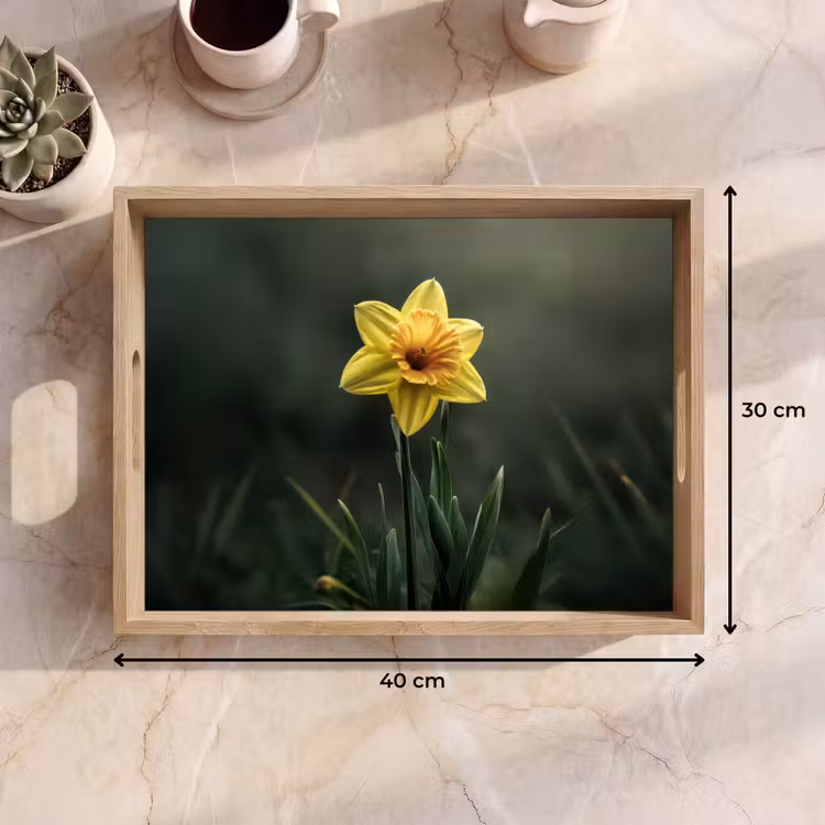 Dienblad - Bloem - Narcis - Gras - Geel — 9