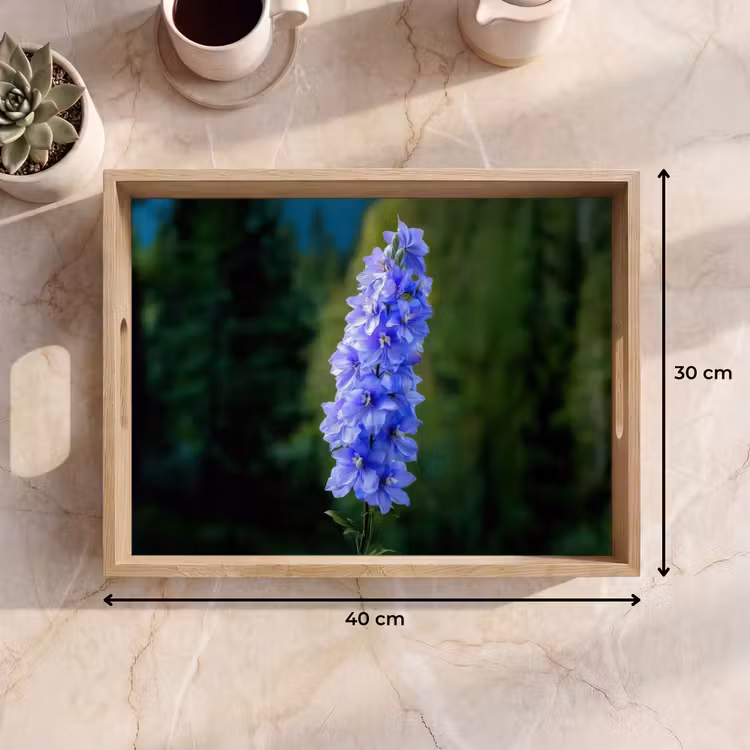 Dienblad - Bloemen - Blauw - Dennenboom — 9