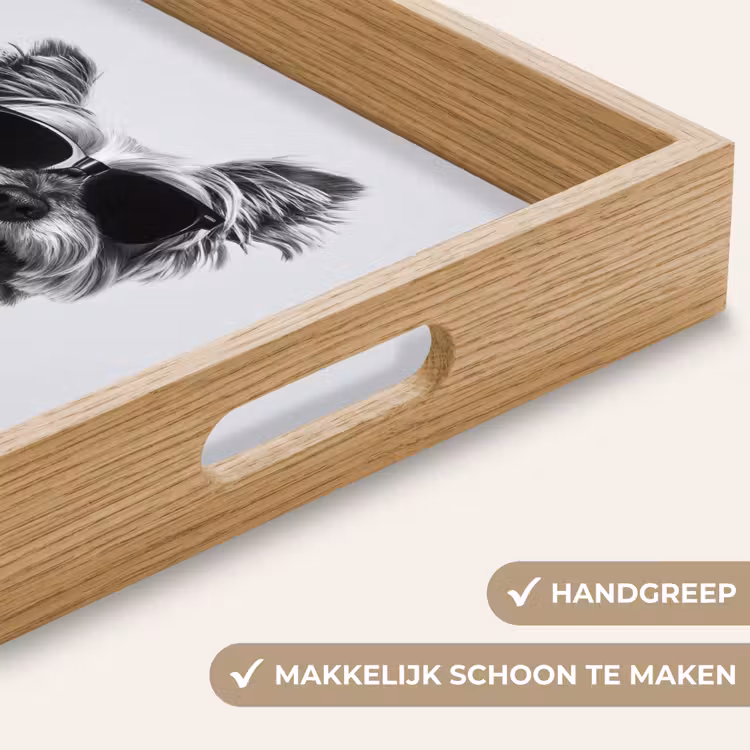 Dienblad - Hondje - Wijnglas - Zonnebril - Enthousiast — 5