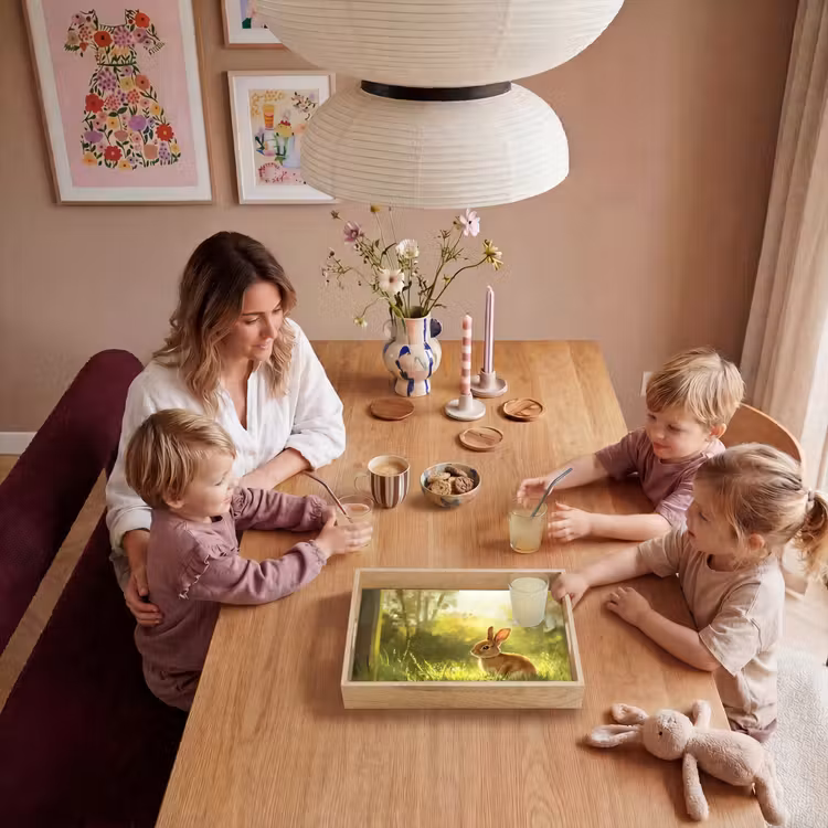 Dienblad - Konijn - Zonlicht - Bos — 7