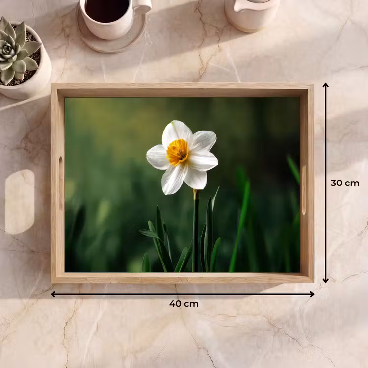 Dienblad - Narcis - Bloem - Wit - Grassprieten — 9