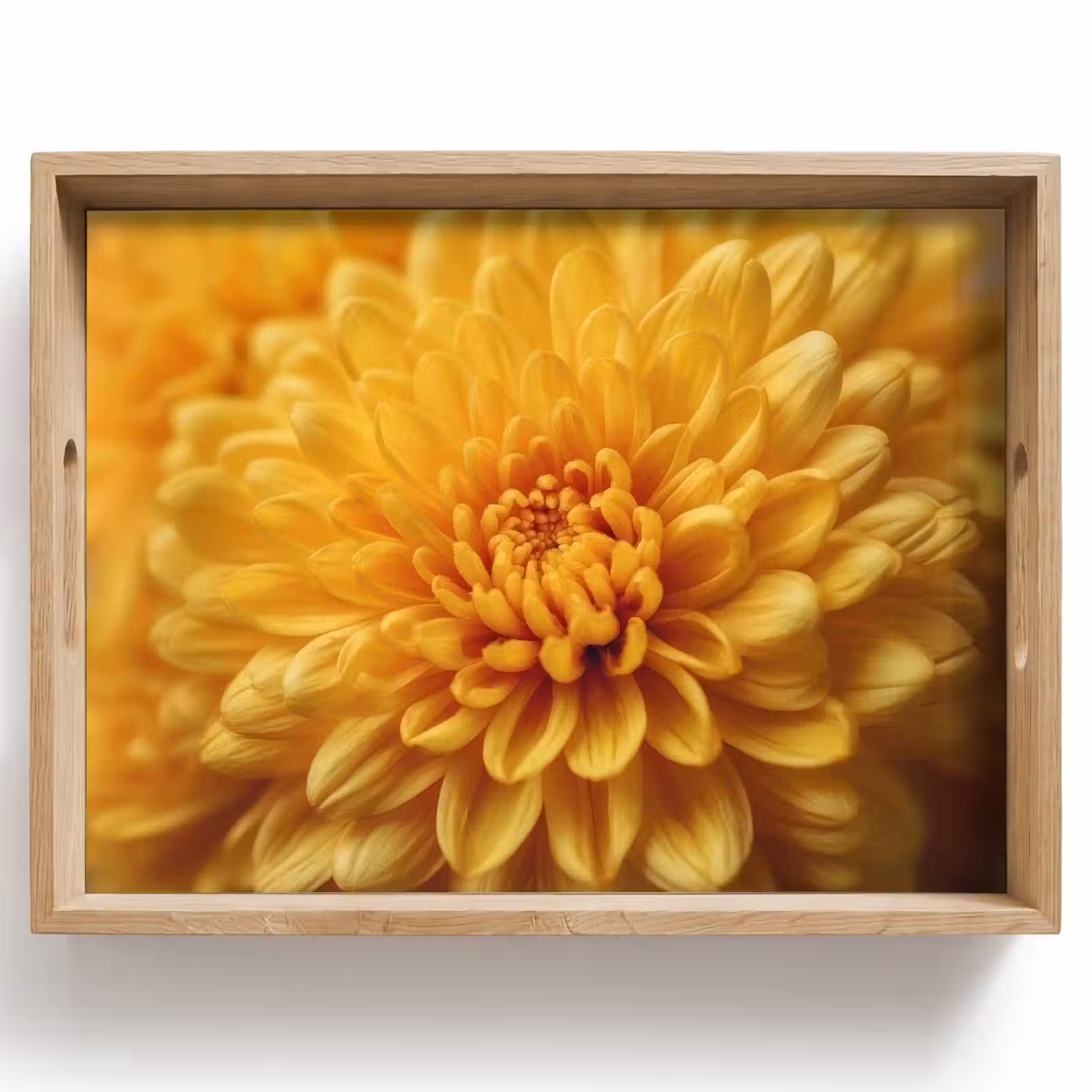 Dienblad - Geel - Chrysant - Zachtheid — 1