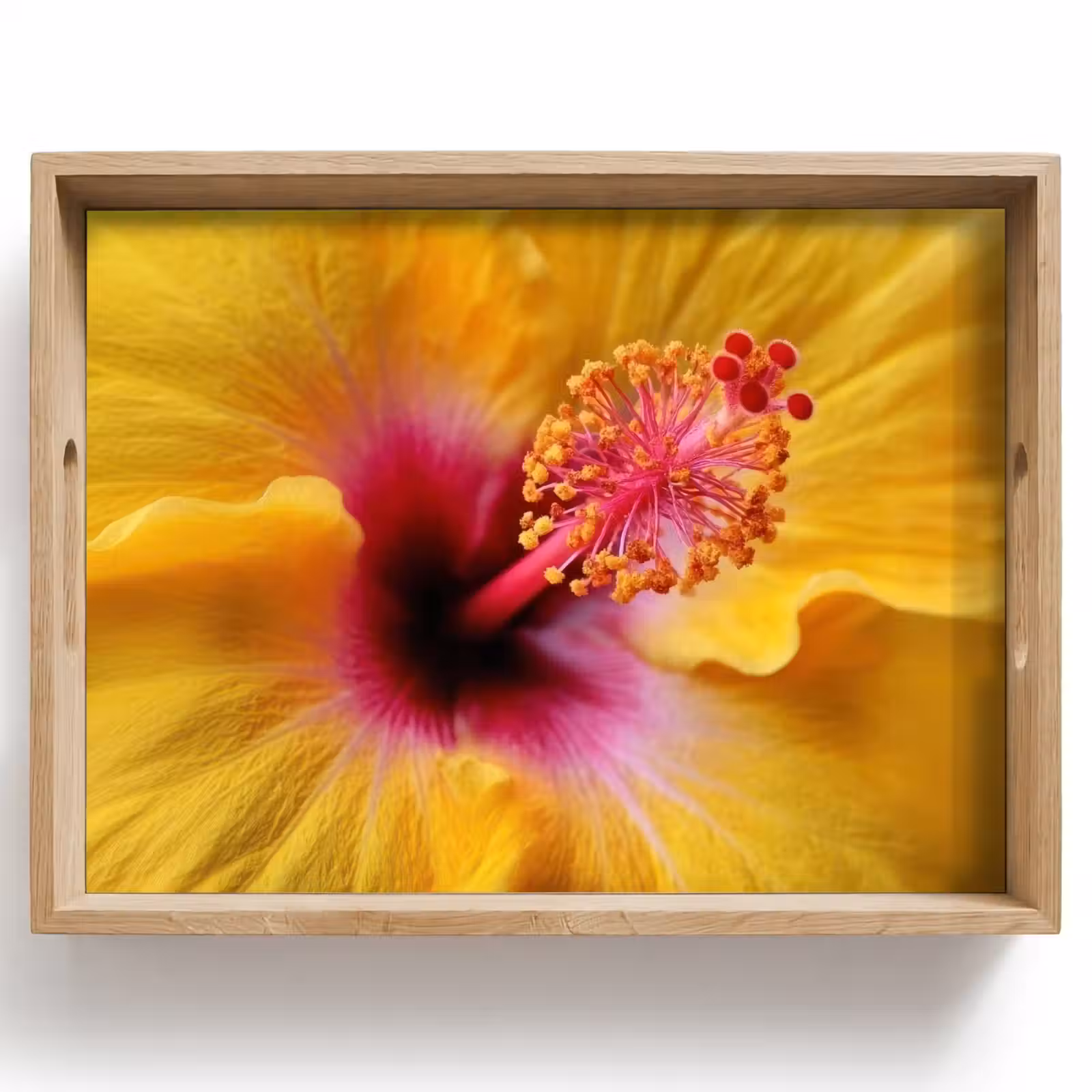 Dienblad - Geel - Hibiscus - Tropisch — 1