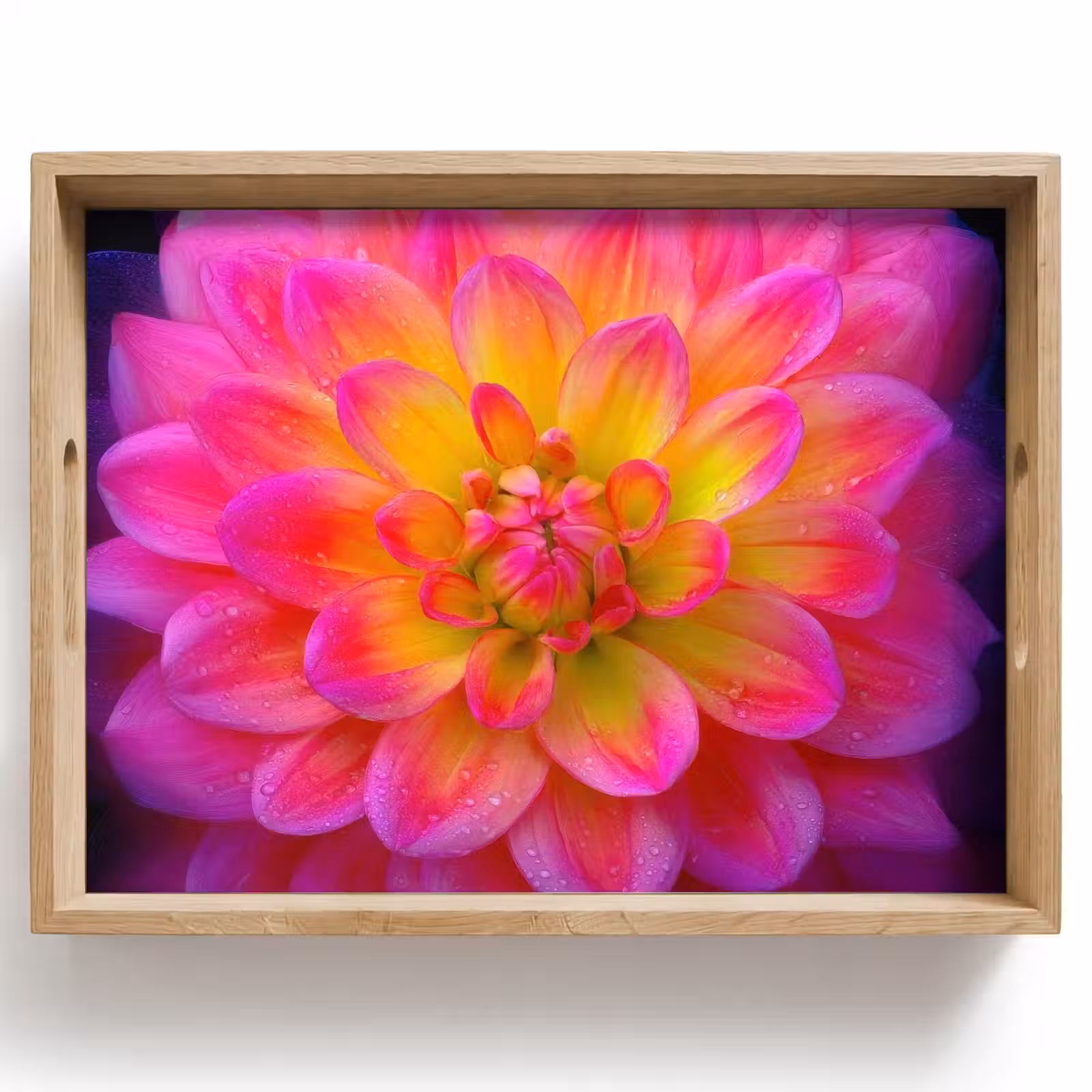 Dienblad - Roze - Dahlia - Kleurrijk — 1