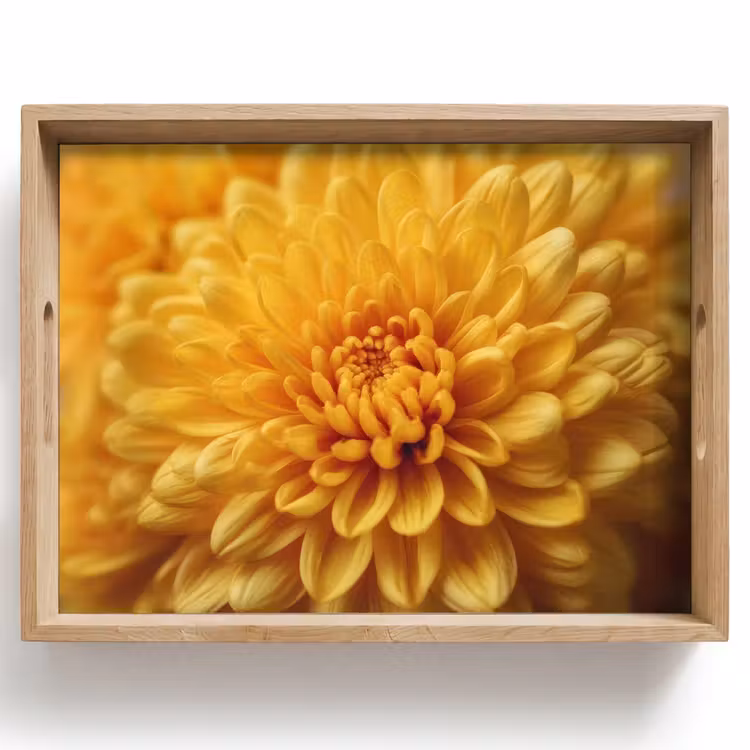 Dienblad - Geel - Chrysant - Zachtheid — 1