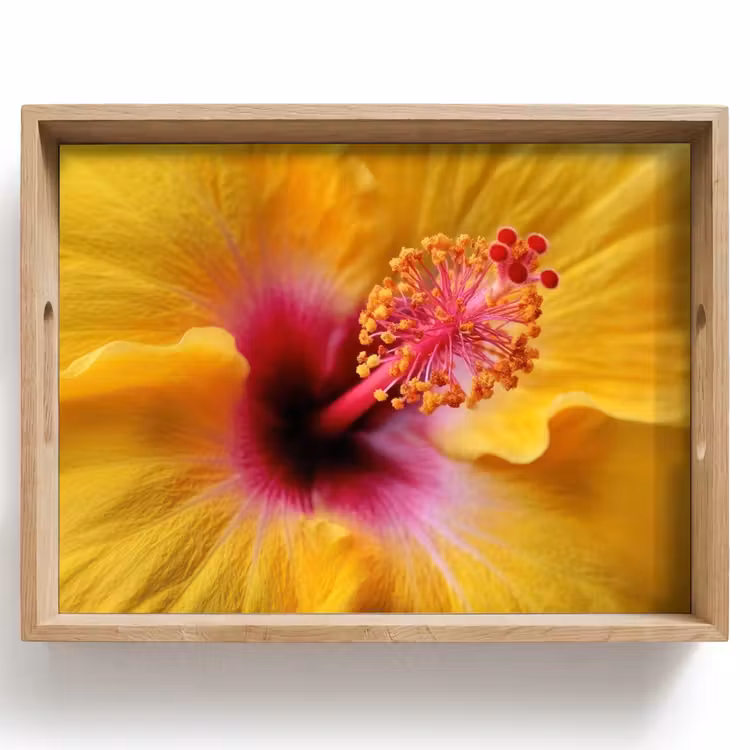 Dienblad - Geel - Hibiscus - Tropisch — 1