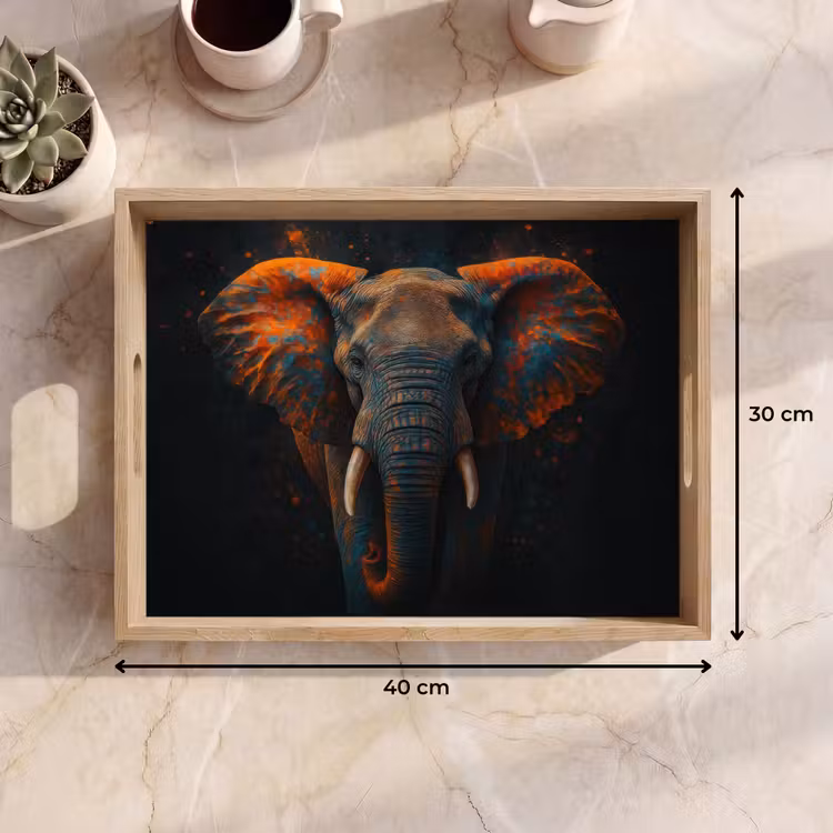 Dienblad - Olifant - Oranje - Oren — 9