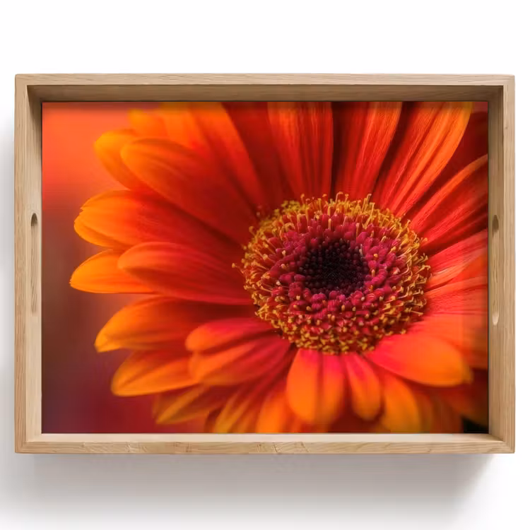 Dienblad - Oranje - Gerbera - Intens — 1