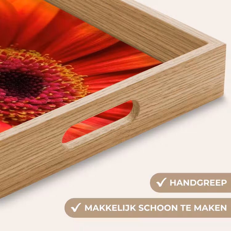 Dienblad - Oranje - Gerbera - Intens — 5