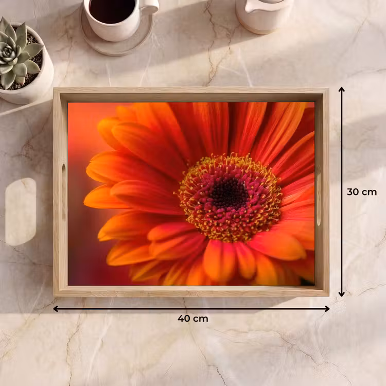 Dienblad - Oranje - Gerbera - Intens — 9