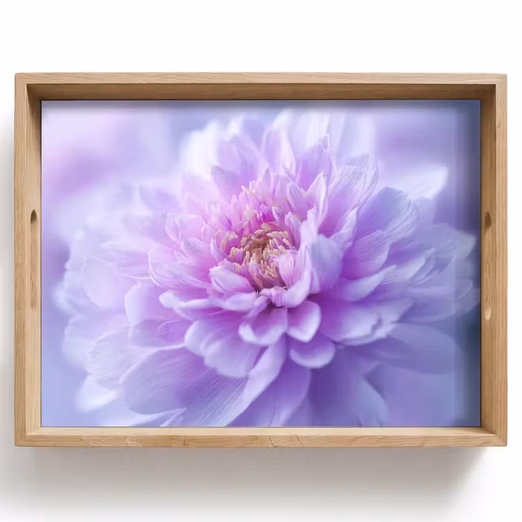 Dienblad - Paars - Dahlia - Dromerig — 1