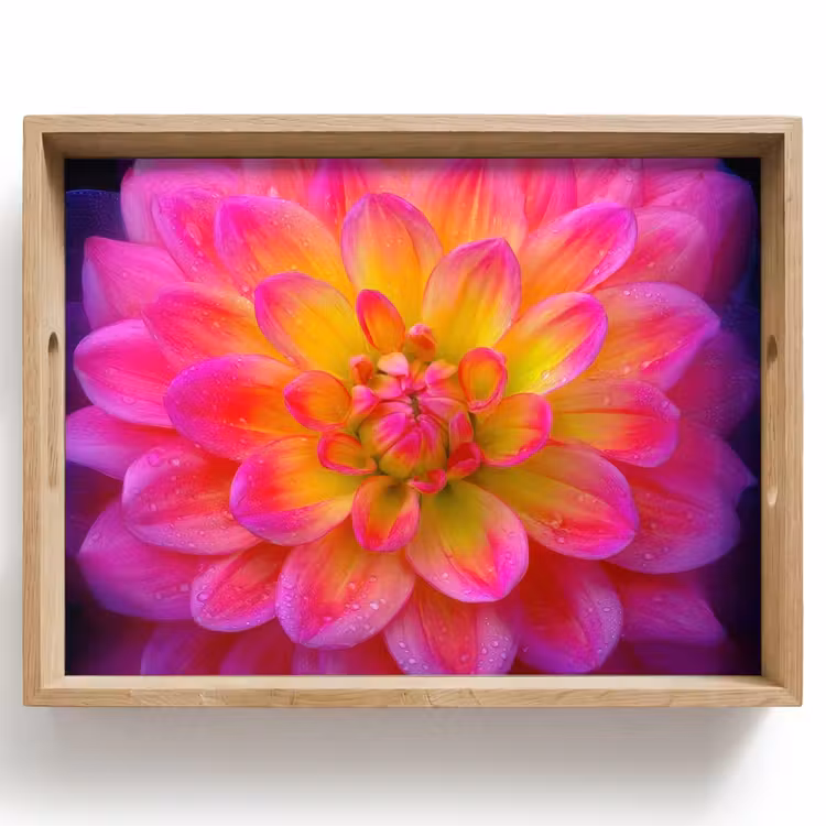 Dienblad - Roze - Dahlia - Kleurrijk — 1