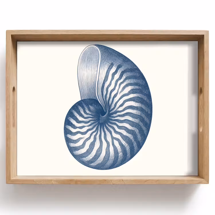 Dienblad - Blauw - Schelp - Spiraal — 1