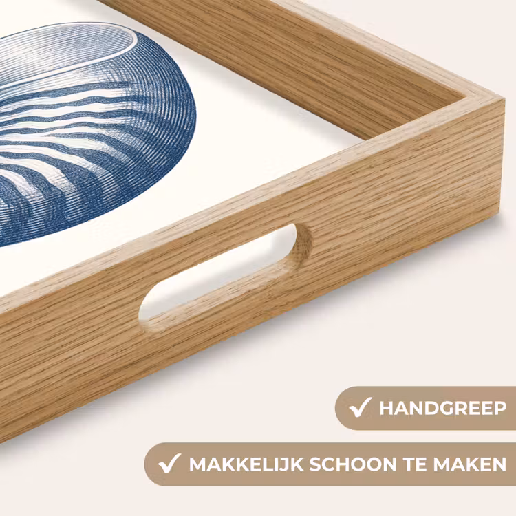 Dienblad - Blauw - Schelp - Spiraal — 5