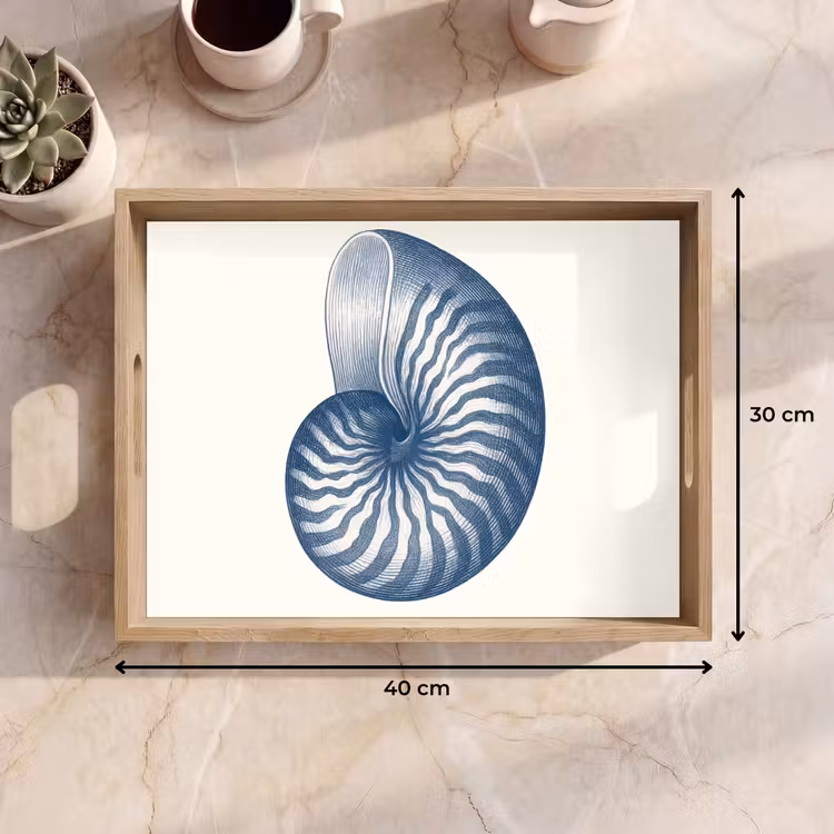 Dienblad - Blauw - Schelp - Spiraal — 9