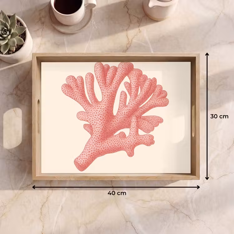 Dienblad - Koraal - Stipjes - Roze — 9
