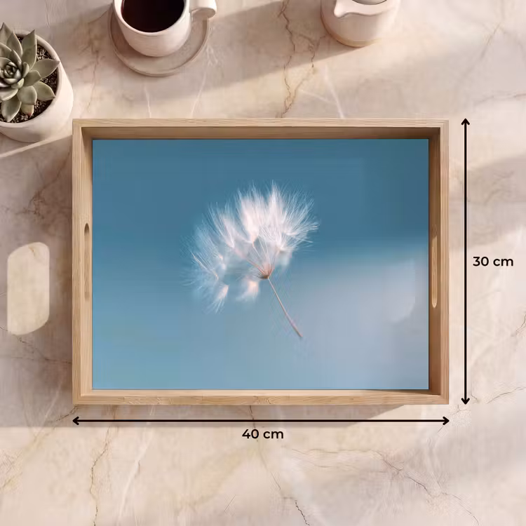 Dienblad - Paardenbloempluisje - Blauw - Lucht — 9