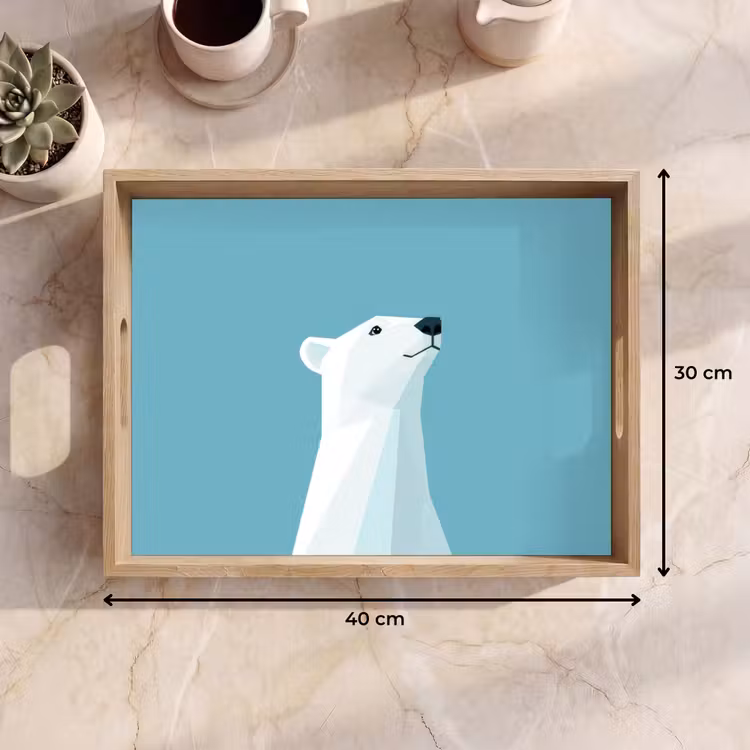 Dienblad - Ijsbeer - Lichtblauw - Minimalistisch — 9