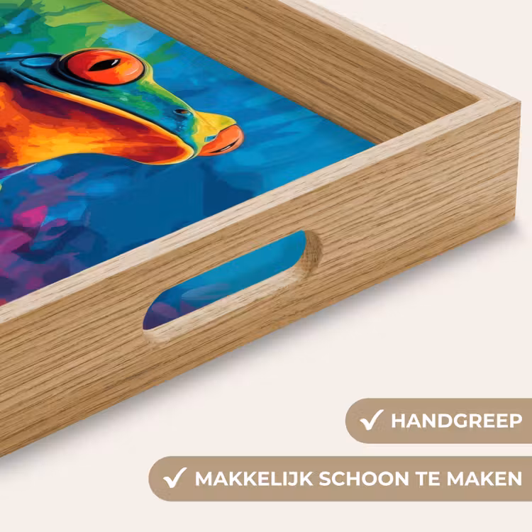 Dienblad - Kikker - Felgekleurd - Tak - Regenboog — 5