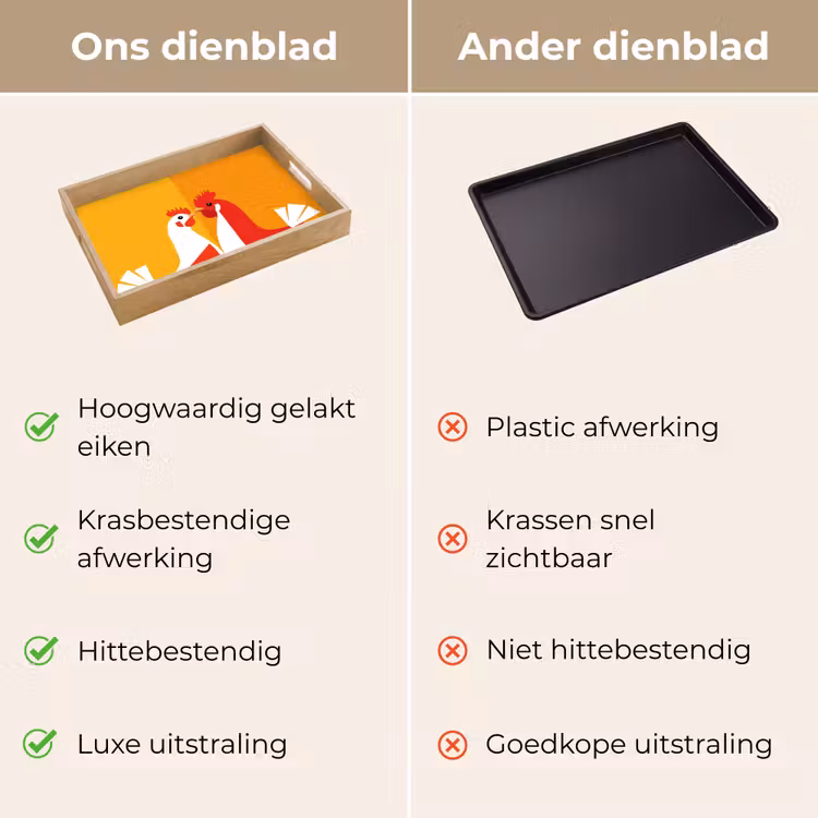 Dienblad - Kippen - Oranje - Vlakken — 3
