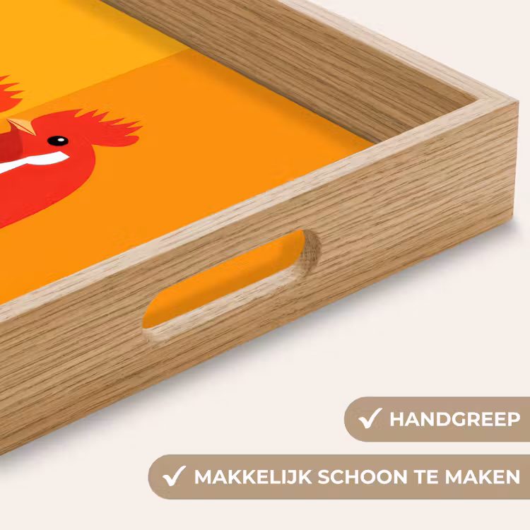 Dienblad - Kippen - Oranje - Vlakken — 5