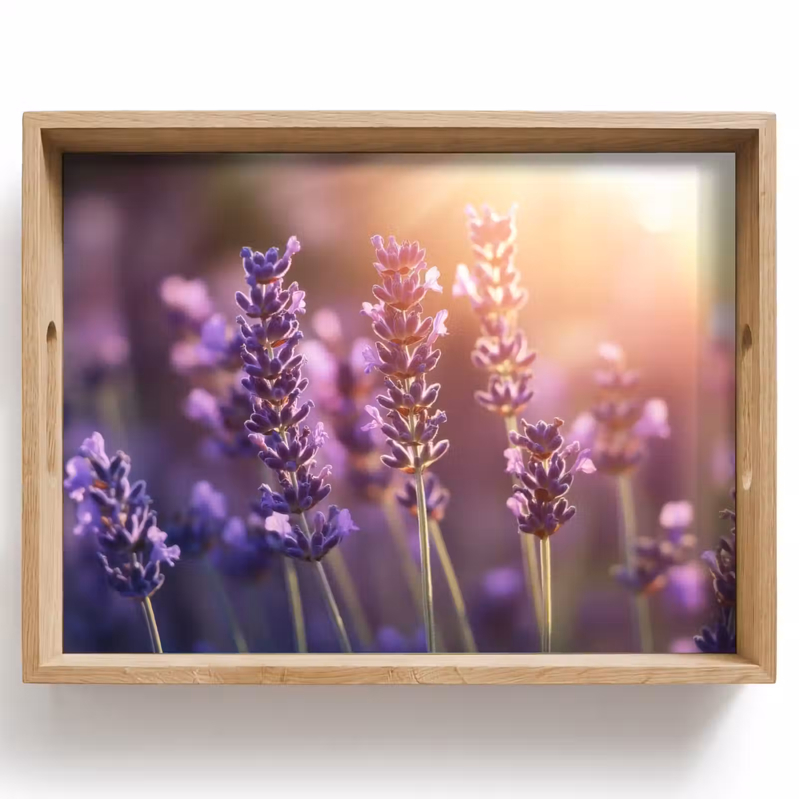 Dienblad - Lavendelbloemen - Paars - Zonlicht — 1