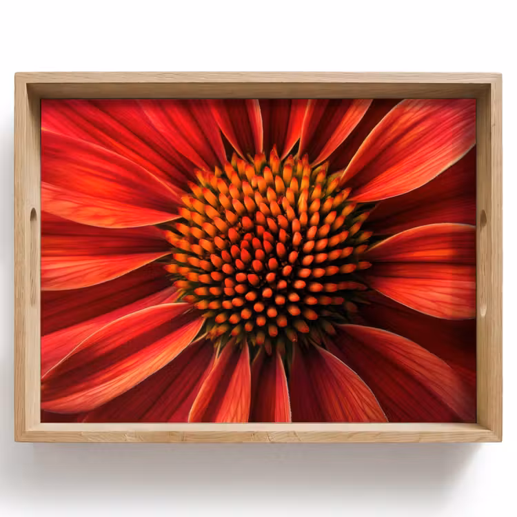Dienblad - Close up - Bloem- Rood — 1