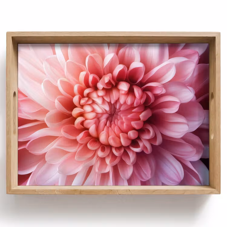 Dienblad - Dahlia - Bloem - Close up - Roze — 1