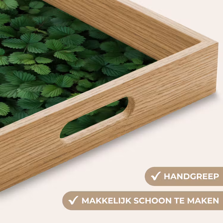 Dienblad - Groen - Bladeren - Kartel - Zonlicht — 5