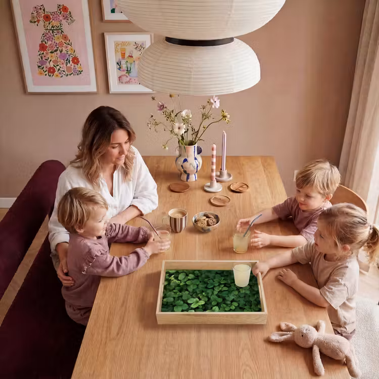 Dienblad - Groen - Bladeren - Kartel - Zonlicht — 7