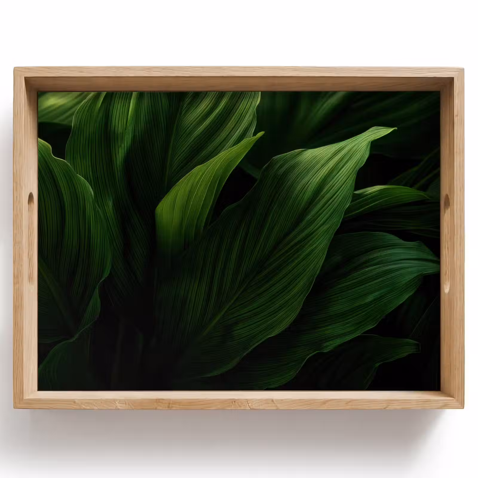 Dienblad - Bladeren - Schaduw - Groen - Textuur — 1