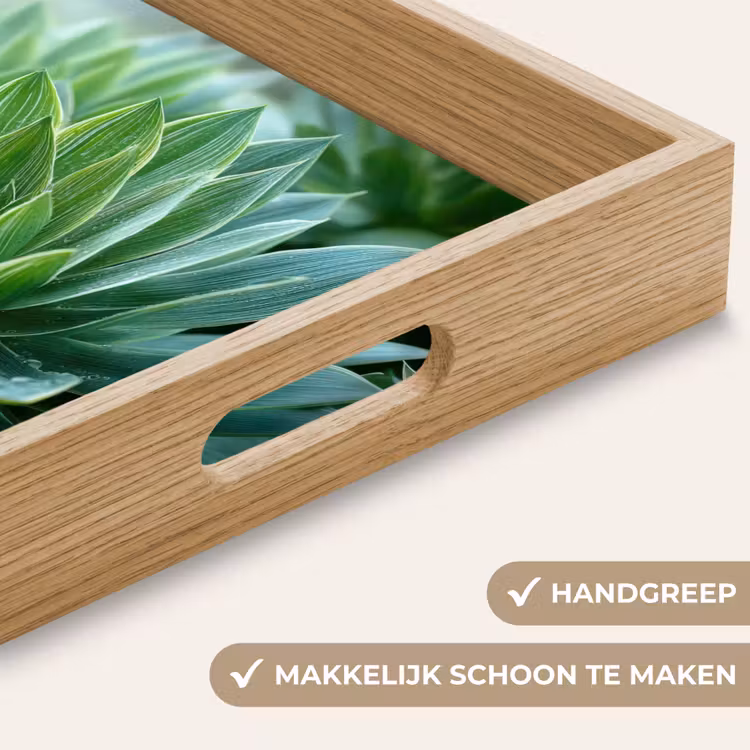 Dienblad - Blad - Plant - Groen - Textuur — 5