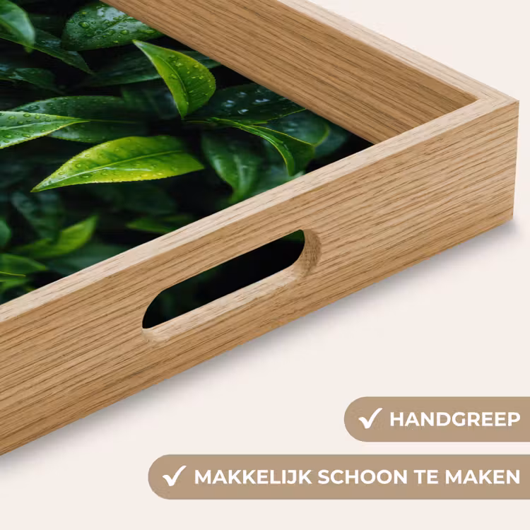 Dienblad - Bladeren - Regendruppels - Licht - Groen — 5
