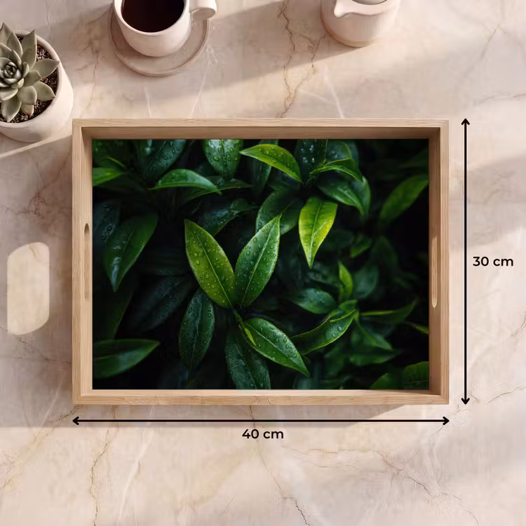Dienblad - Bladeren - Regendruppels - Licht - Groen — 9